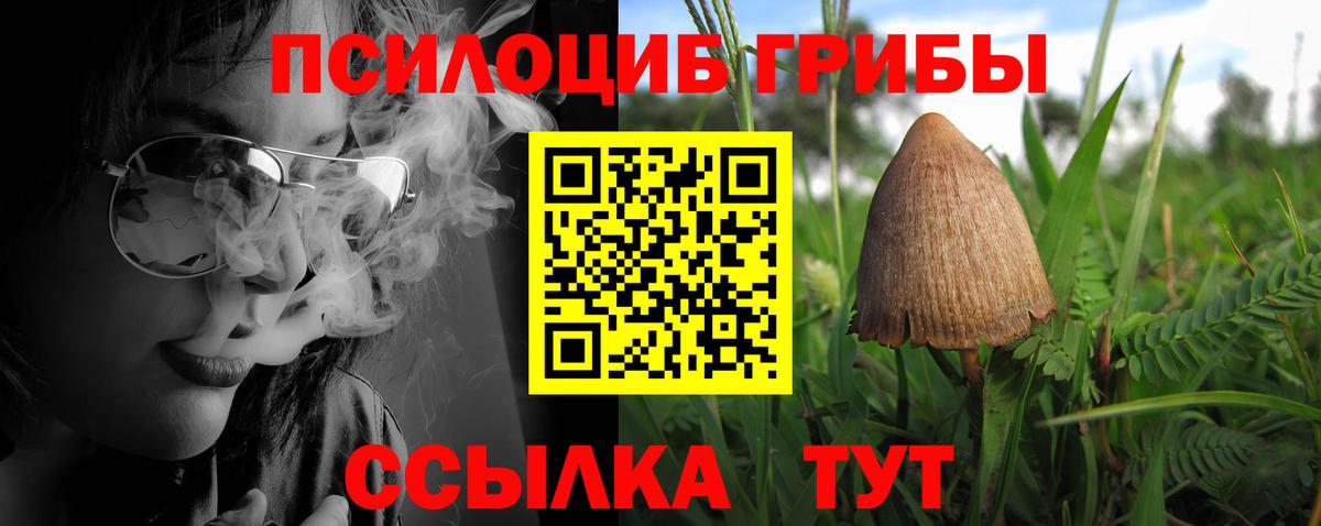 Псилоцибиновые грибы Psilocybe Заинск