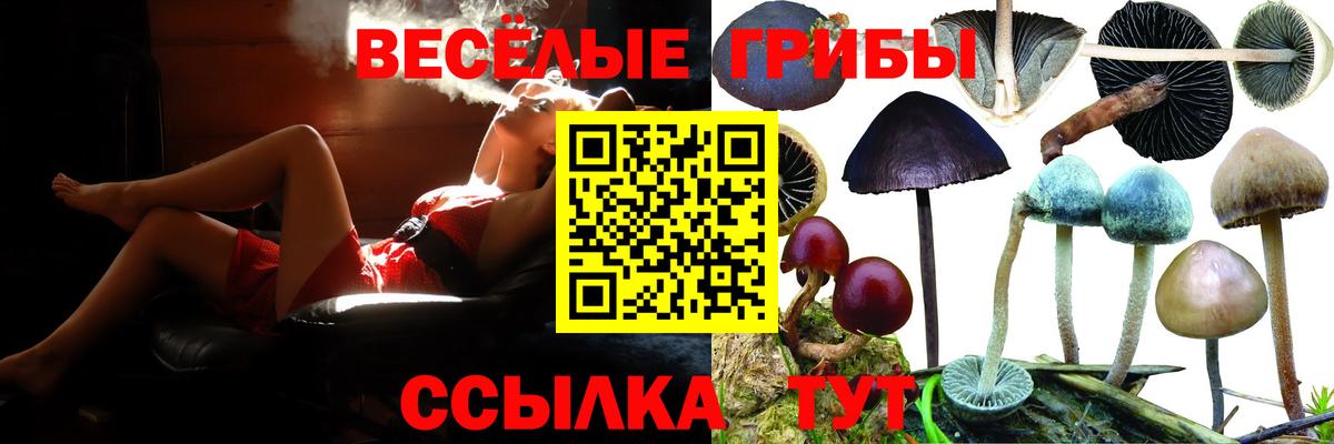 Галлюциногенные грибы мицелий  Вход с VPN  Заинск 